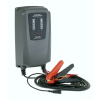 IDEAL EXPERT CHARGER 25 12V