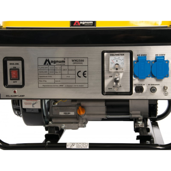 AGREGAT PRĄDOTWÓRCZY MAGNUM DF-2500H